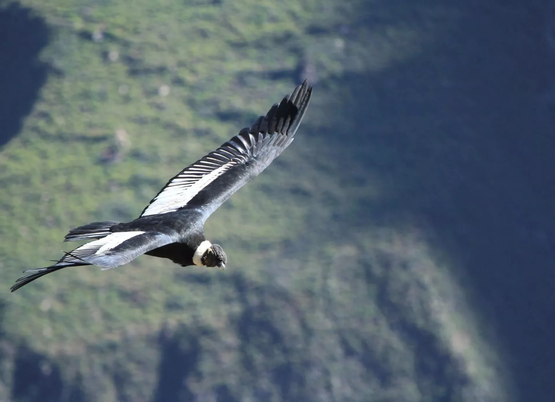 Torres del Paine EcoCamp